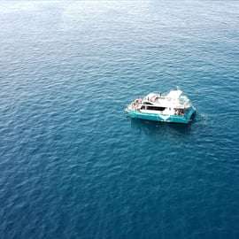 Setúbal: Wycieczka z obserwacją delfinów