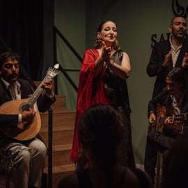 Lizbona: Show fado z winem Quinta do Gradil w Baixa-Chiado