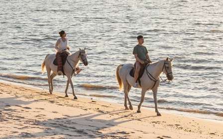Jazda konna na plaży o zachodzie słońca