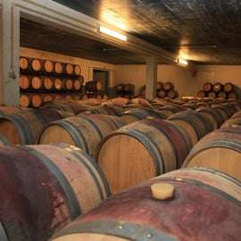 Arrabida Wine Tour – Lizbona: winiarnie, degustacje, fabryka płytek