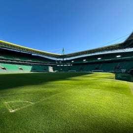 Sporting Clube de Portugal: Wizyta na stadionie
