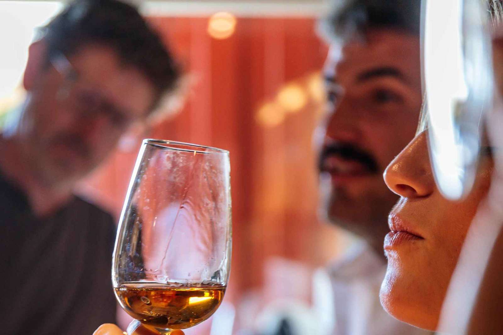 Lizbona: wycieczka po winnicach Carcavelos i degustacja win
