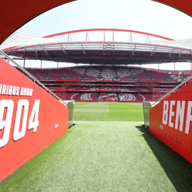 Lizbona: Wycieczka po stadionie Luz i bilet do muzeum SL Benfica z karnetem