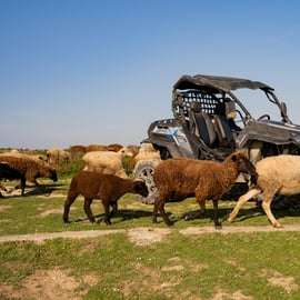 Przygoda z buggy w Lizbonie: ukryte szlaki, klify i wybrzeże
