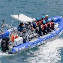 Arrábida: Setubal, Sesimbra Coasteering i wycieczka łodzią motorową