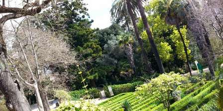Jardim Botânico