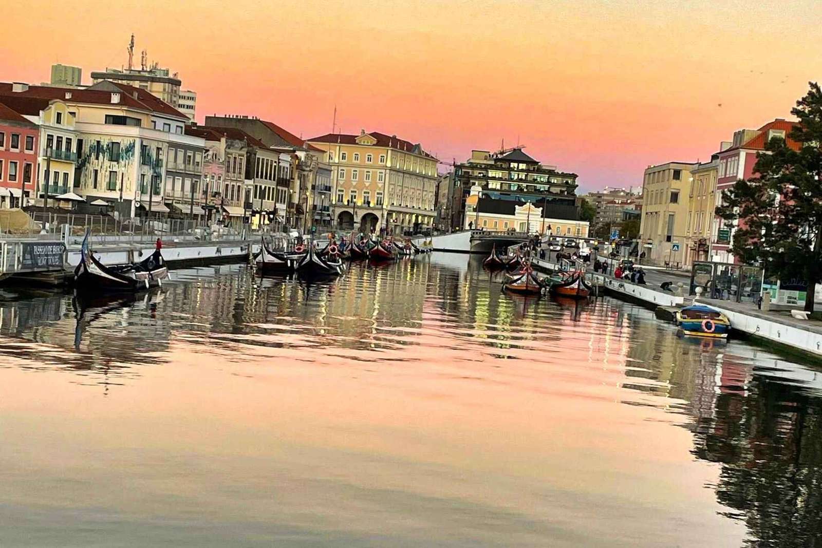 Lizbona: Prywatny transfer do Porto z przystankami do 3 miast