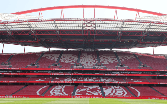 Lizbona: Wycieczka po stadionie Luz i bilet do muzeum SL Benfica z karnetem