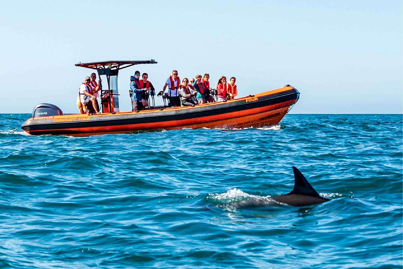 Cascais: Obserwacja delfinów