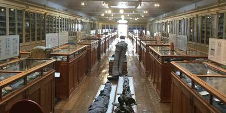 Muzeum Geologiczne