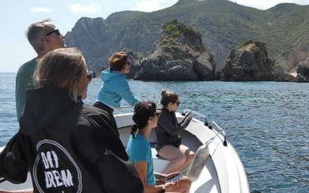 Sesimbra: Plaże i jaskinie Arrábida Rejs wycieczkowy z nurkowaniem z rurką