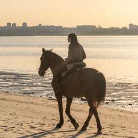 Jazda konna na plaży o zachodzie słońca