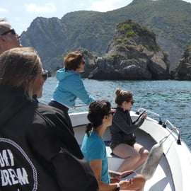 Sesimbra: Plaże i jaskinie Arrábida Rejs wycieczkowy z nurkowaniem z rurką