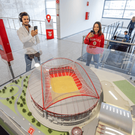 Lizbona: Wycieczka po stadionie Luz i bilet do muzeum SL Benfica z karnetem