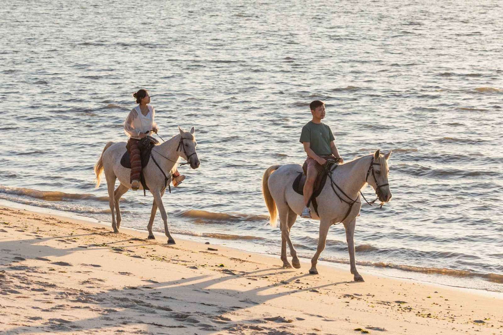 Jazda konna na plaży o zachodzie słońca